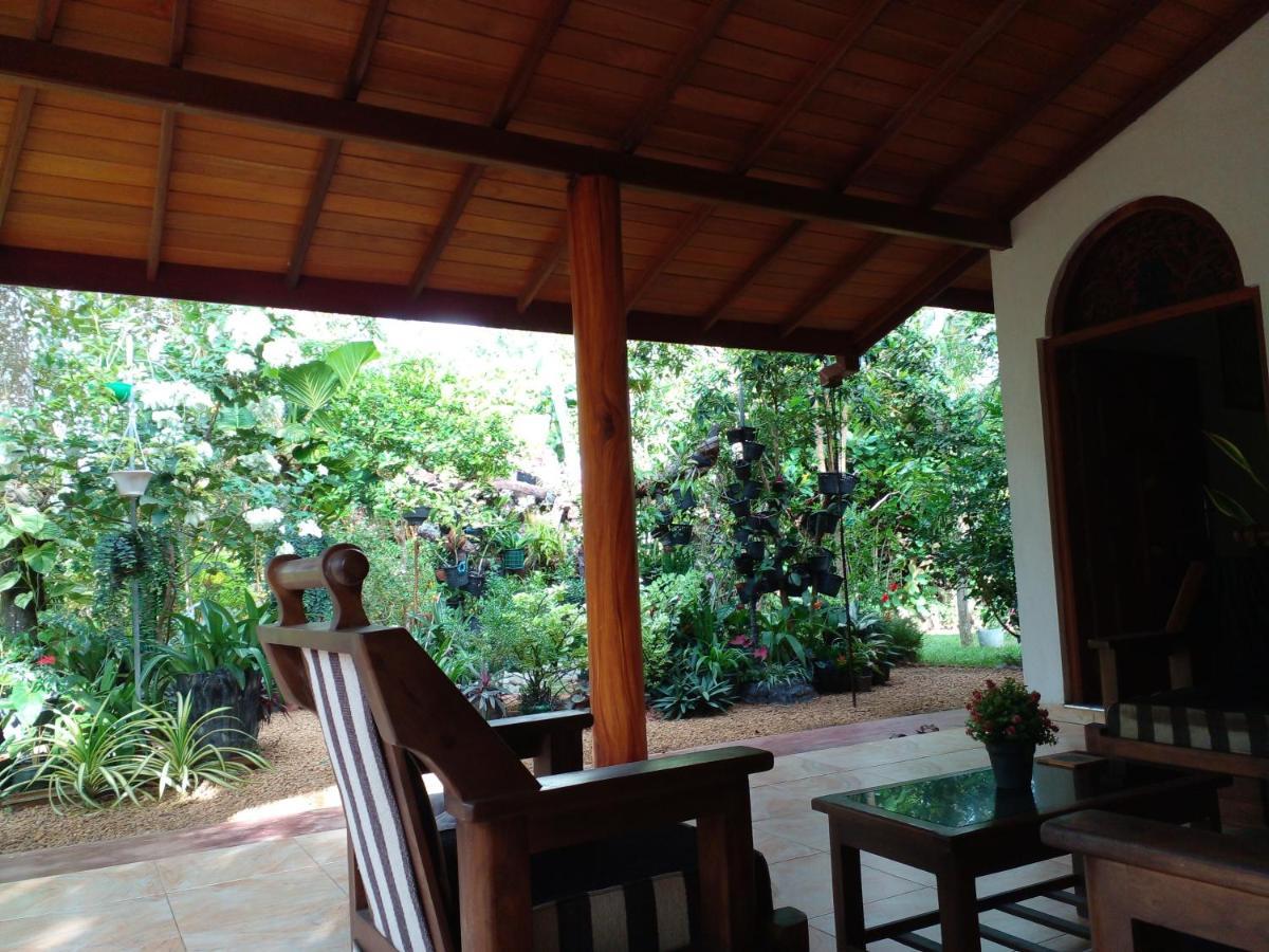 Bed and Breakfast Zum Deutschen à Bentota Extérieur photo