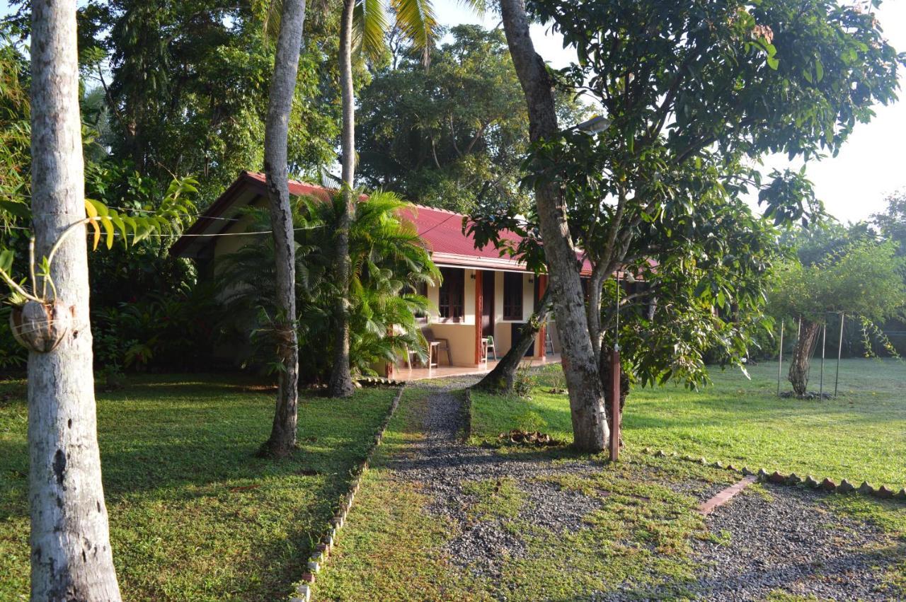 Bed and Breakfast Zum Deutschen à Bentota Extérieur photo
