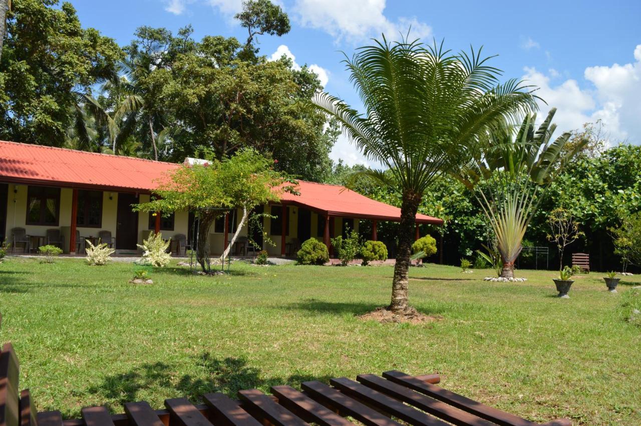 Bed and Breakfast Zum Deutschen à Bentota Extérieur photo