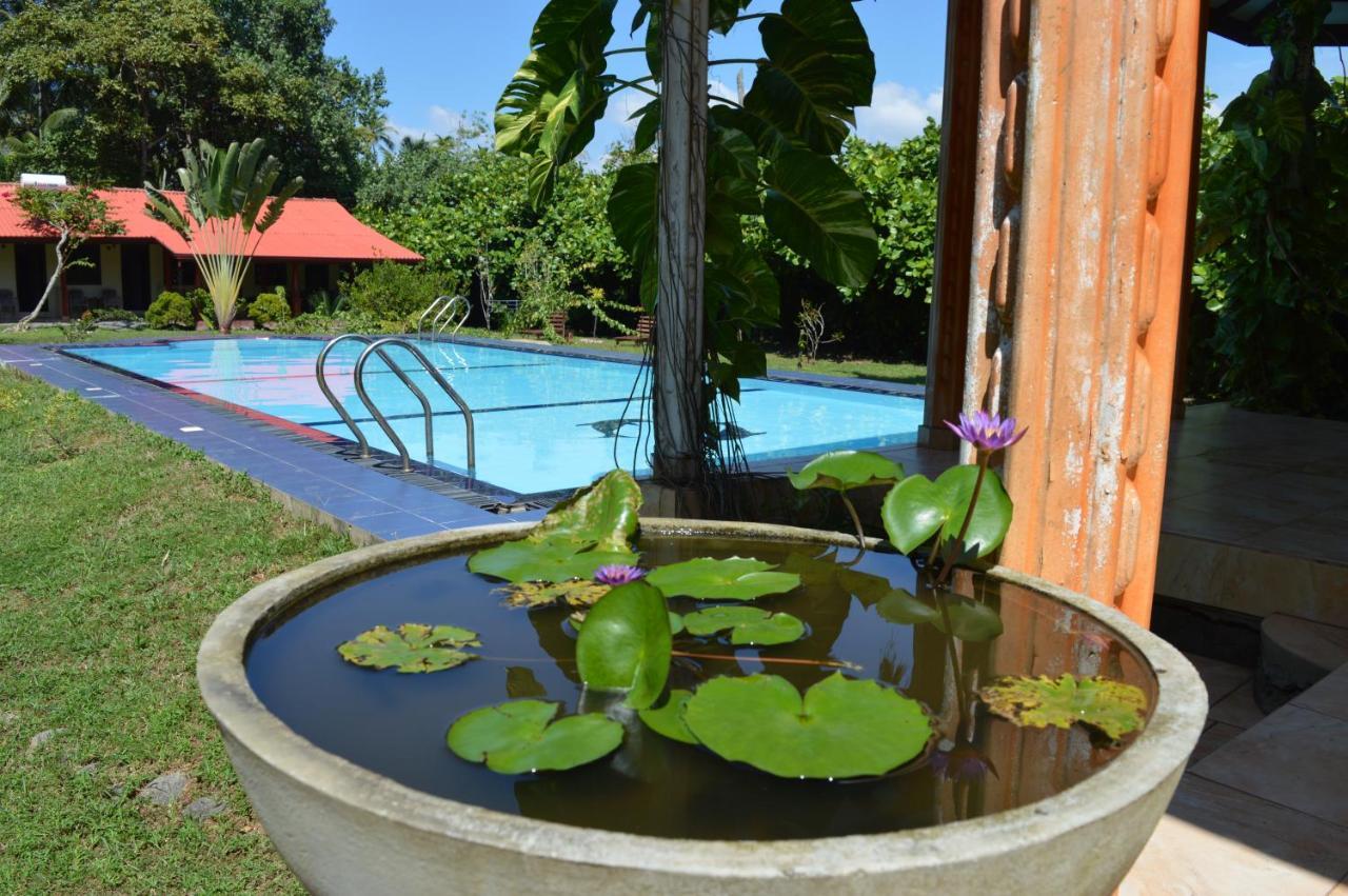 Bed and Breakfast Zum Deutschen à Bentota Extérieur photo